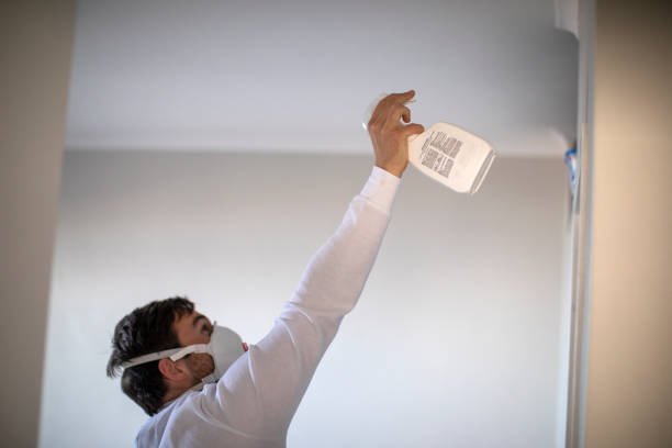 Best Mold Removal Specialists  in Sunnyside, CA