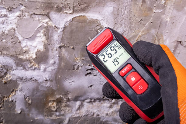 Best Water Damage Restoration  in Sunnyside, CA