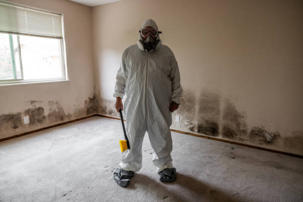 Best Fast Mold Removal  in Sunnyside, CA