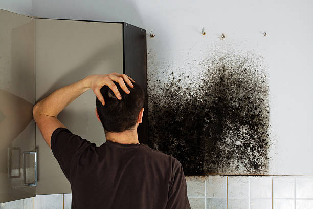 Best Mold Testing  in Sunnyside, CA