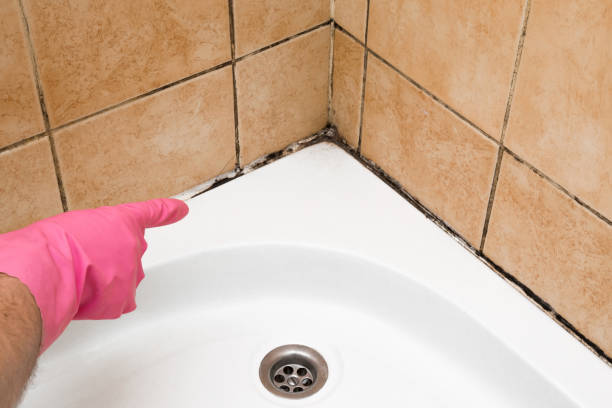 Water Damage Restoration in Sunnyside, CA
